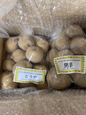 みんなの投稿の画像