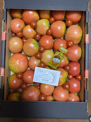 みんなの投稿の画像