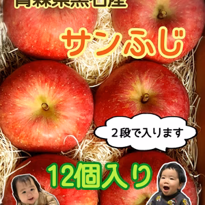 青森県産サンふじりんご12個入り(北海道から関東までの方限定)