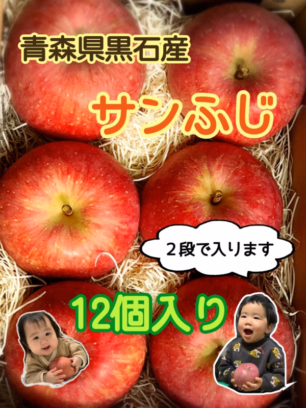 青森県産サンふじりんご12個入り(北海道から関東までの方限定)