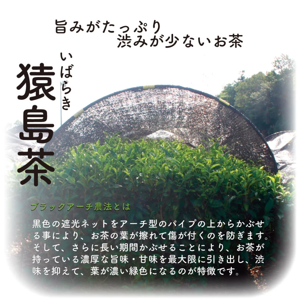 【送料無料】2023年 新茶 王道と伝統 猿島茶セット