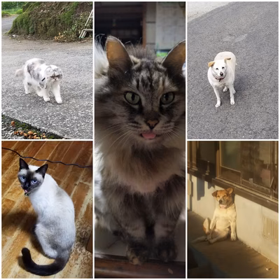 みんなの投稿の画像