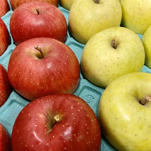 シナノスイート＆王林【食べ比べできる！】秀5キロ