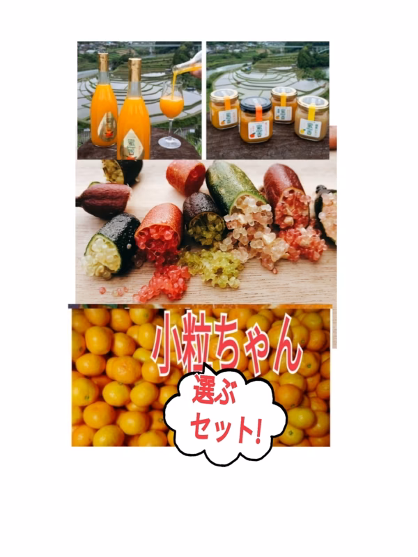 【フィンガーライム＆】小粒みかん&選べるセット