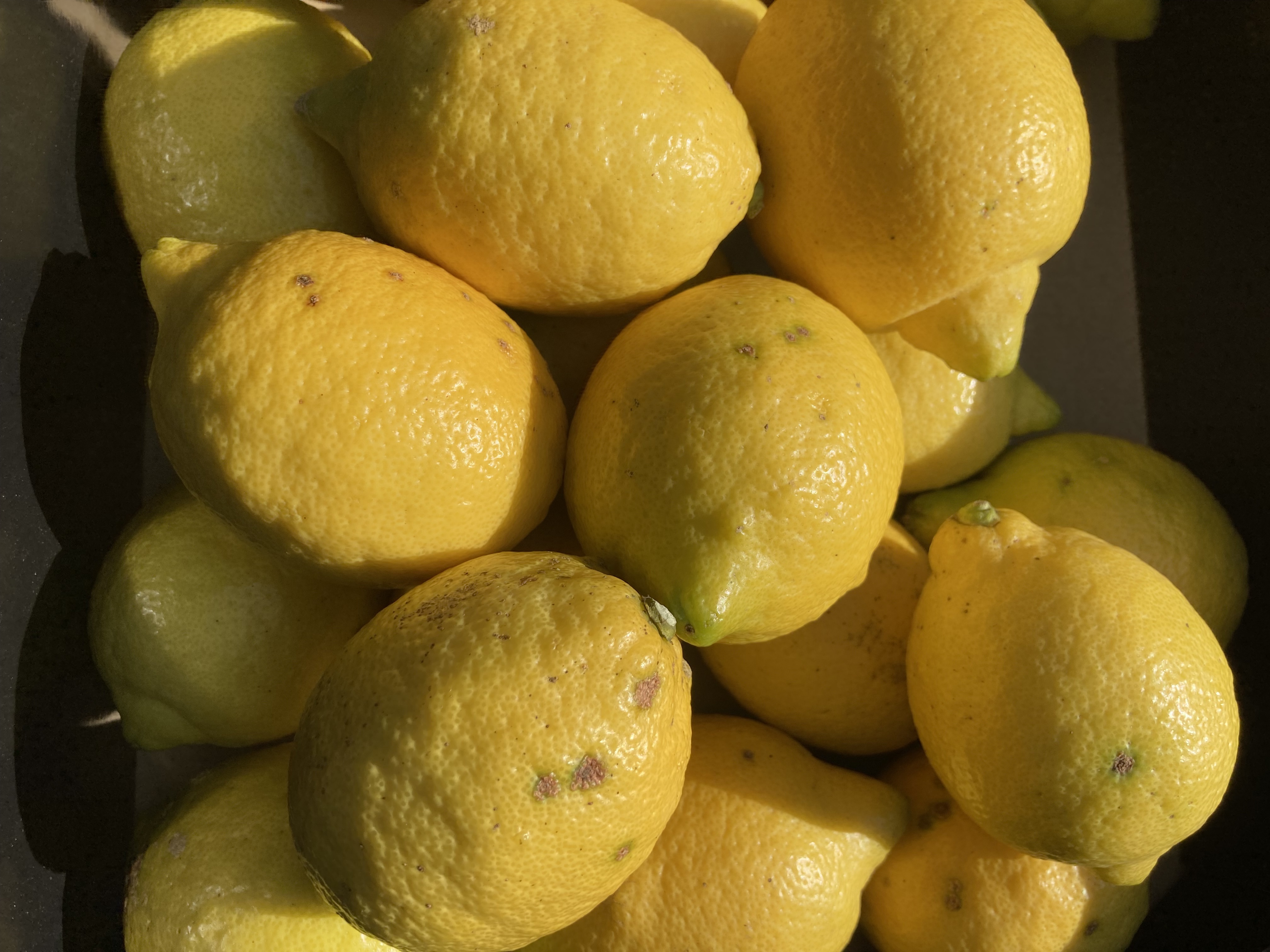 No.1。栽培時農薬使用なし。レモン - 果物