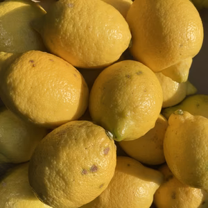 国産レモンB品,璃の香(りのか)県指定特別栽培