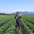 佐藤善信