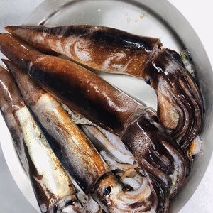 お得な4杯（約2kg）刺身用スルメイカまるごと超低温冷凍！大〜特大　