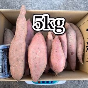 30日以上寝かせた（追熟した）極甘〜安納芋♪5kg