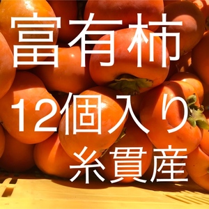 甘さあふれる‼️富有柿2Lサイズ12個入り⭐️産地直送