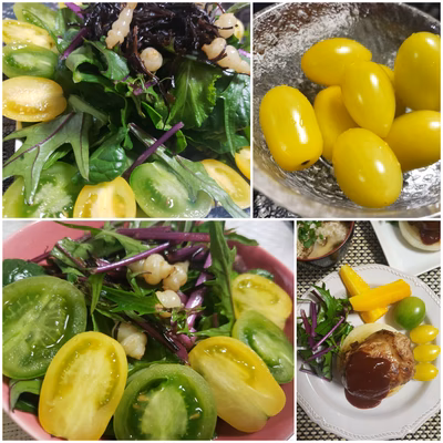 みんなの投稿の画像