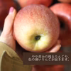 【ふじ/春回しりんご】生食でもお家時間のクッキングにも/特別栽培/ネオニコフリー