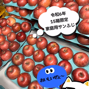 訳あり 小玉サンふじ『家庭用』味よし‼️数量限定15箱のみ‼️