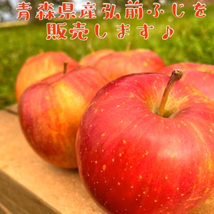 送料無料　青森県産☆ひろさきふじ　約4.5キロ