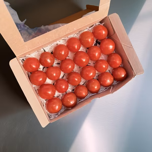 【贈答用】濃奏ミニトマト