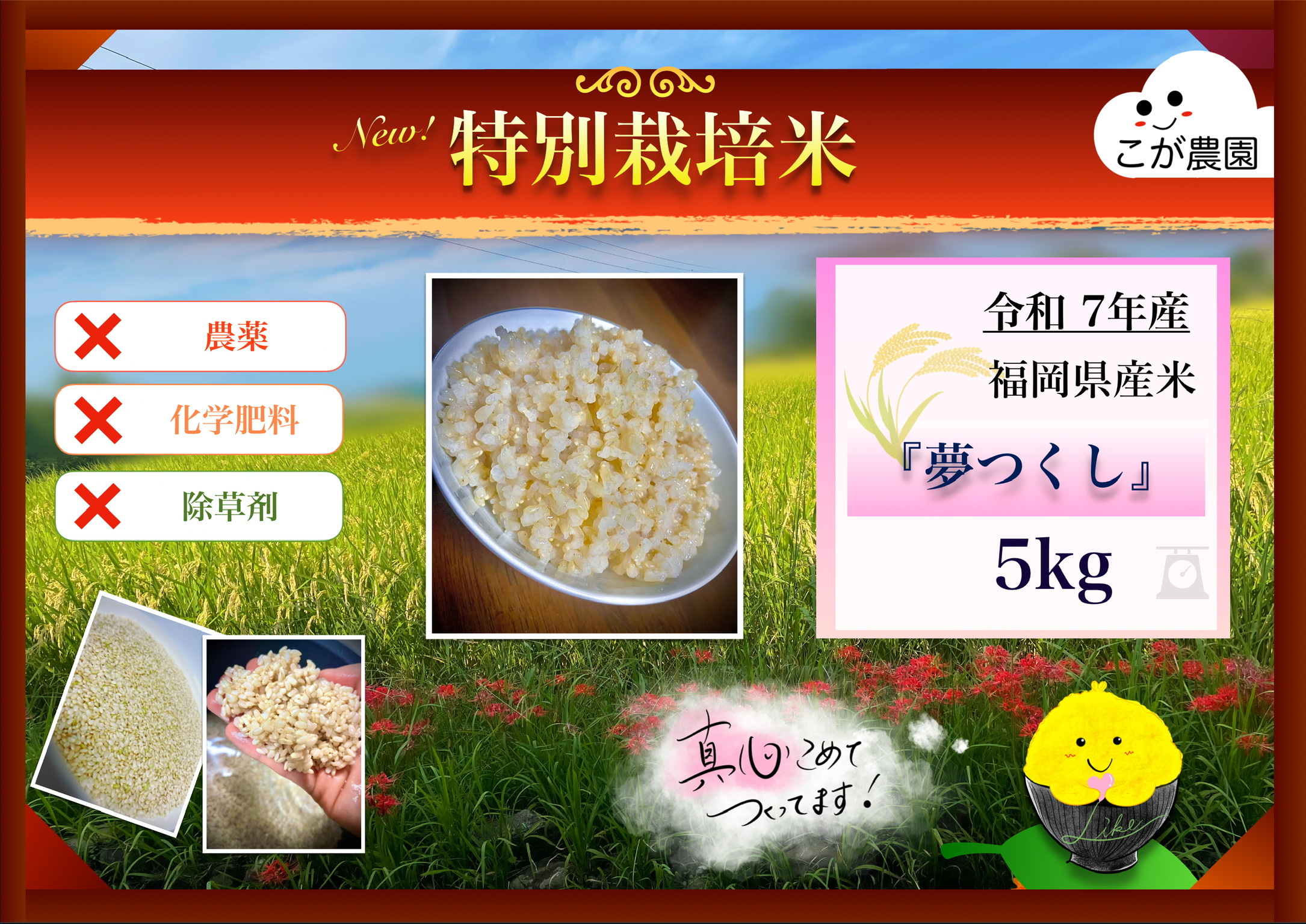ぶぜんのお米・こが農園 福岡県産「夢つくし」5kg 令和7年産