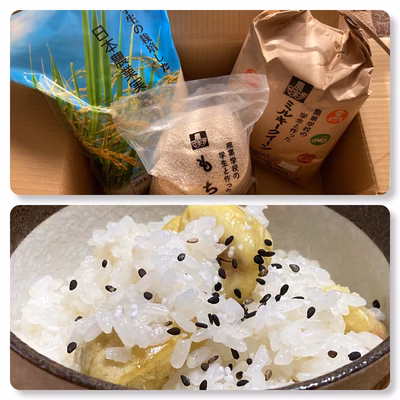 みんなの投稿の画像