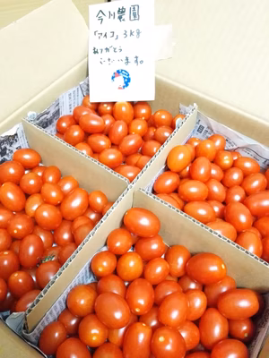 みんなの投稿の画像