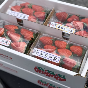 一伍屋おまかせ食べくらべ4P簡易梱包二箱セット