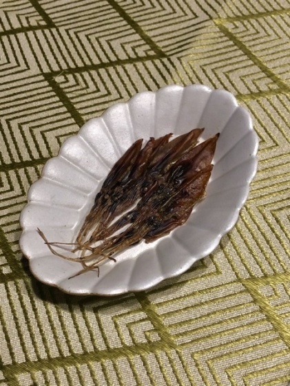 Img Resizing Net Projects D63e60da Caac 477e 96