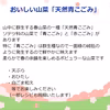 採れたて山菜天然青こごみ おひたし・ごま和え等で《予約受付》