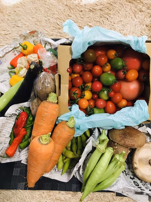 みんなの投稿の画像