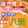 自然農法　樹上完熟　舞祭組　八朔4ｋｇ（農薬・肥料一切不使用）