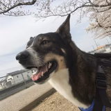 Jackママえみりん