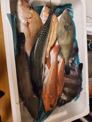 みんなの投稿の画像