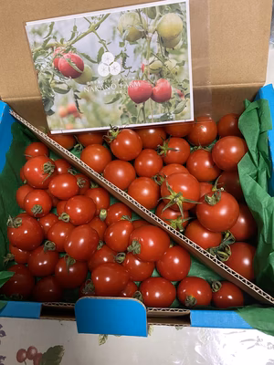 みんなの投稿の画像