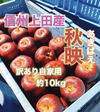 農カード付き!10月上〜中旬【信州上田産りんご・秋映】訳あり自家用約10kg