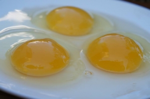 12046675_986211904735247_689410576282154739_n