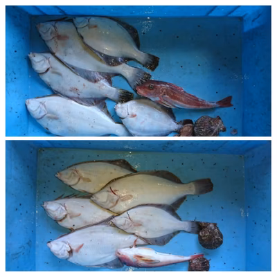 みんなの投稿の画像