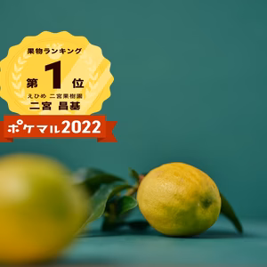 種のない絶品超人気レモン　薄皮、種なし、果汁多い、おいしい　　　