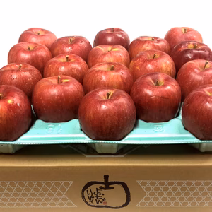 【残りわずか!!】シナノスイート約4.5Kg【家庭用】イチオシ 数量限定 青森