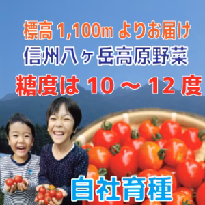 【訳あり特価】【糖度10～12度】八ヶ岳フルーツトマト冷凍