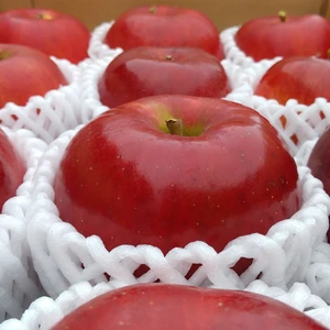 ☆秋の人気者☆【福島のリンゴ紅玉】3キロ　少数販売　売り切れ御免！