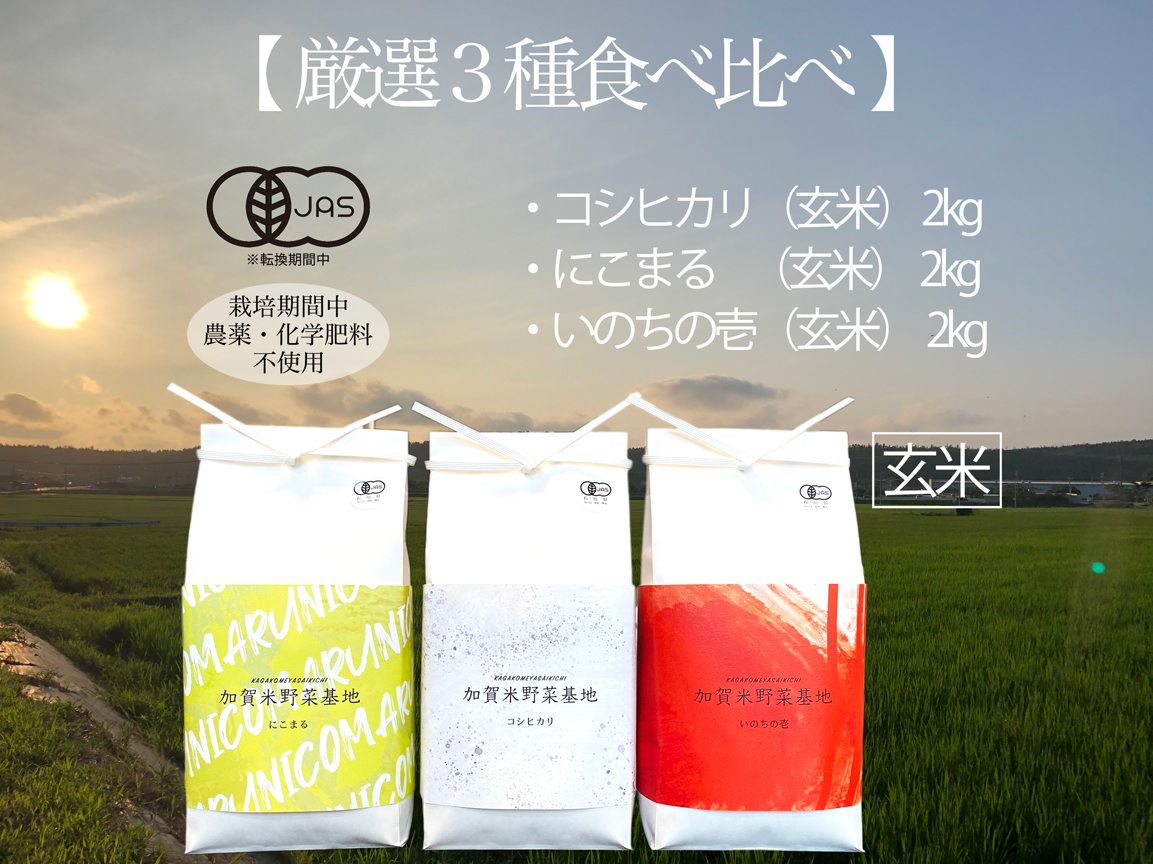 農薬・化学肥料不使用 R4年産『厳選3種食べ比べ』玄米3種 各2kg｜米