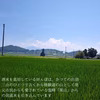 「もも色どぶろく」雪女神１００％使用