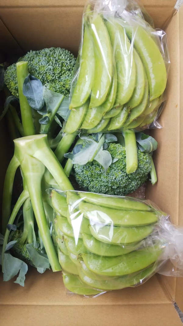 ブロッコリー、スナップエンドウセット
