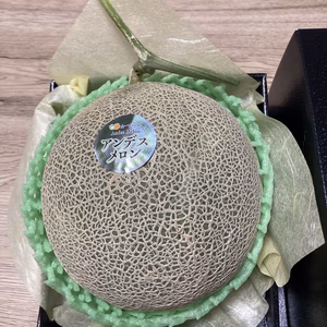 《母の日ギフト》厳選メロン(1個化粧箱入り)限定8個