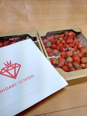 みんなの投稿の画像