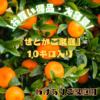 \10キロご注文のお客様はこちら/ せとか《10キロご家庭用》
