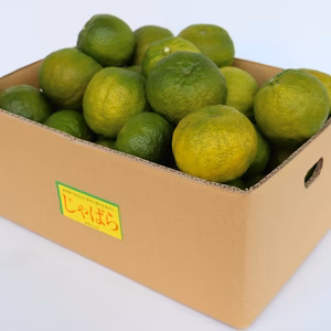 11月収穫 和歌山有田産 柑橘じゃばら果実