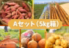 【先行予約限定】秋の味覚★北海道野菜まんぷくセット【10月発送】