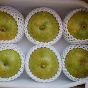 【山口産】ゴールド二十世紀6～7個