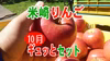 【米崎りんご】10月のりんごギュッとセット！2.5㎏～
