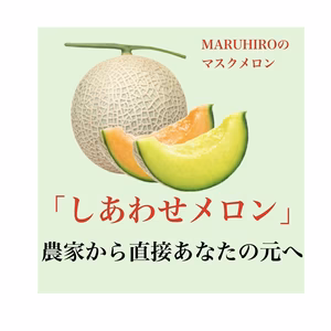 【３日間限定販売】過保護に育てた高級しあわせメロン  １玉訳1.5~2.8k