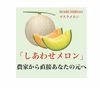 【３日間限定販売】過保護に育てた高級しあわせメロン  １玉訳1.5~2.8k
