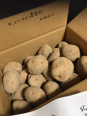 みんなの投稿の画像